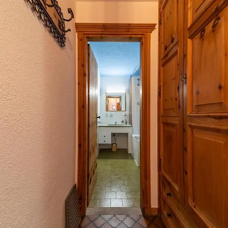 Silva Appartments And *